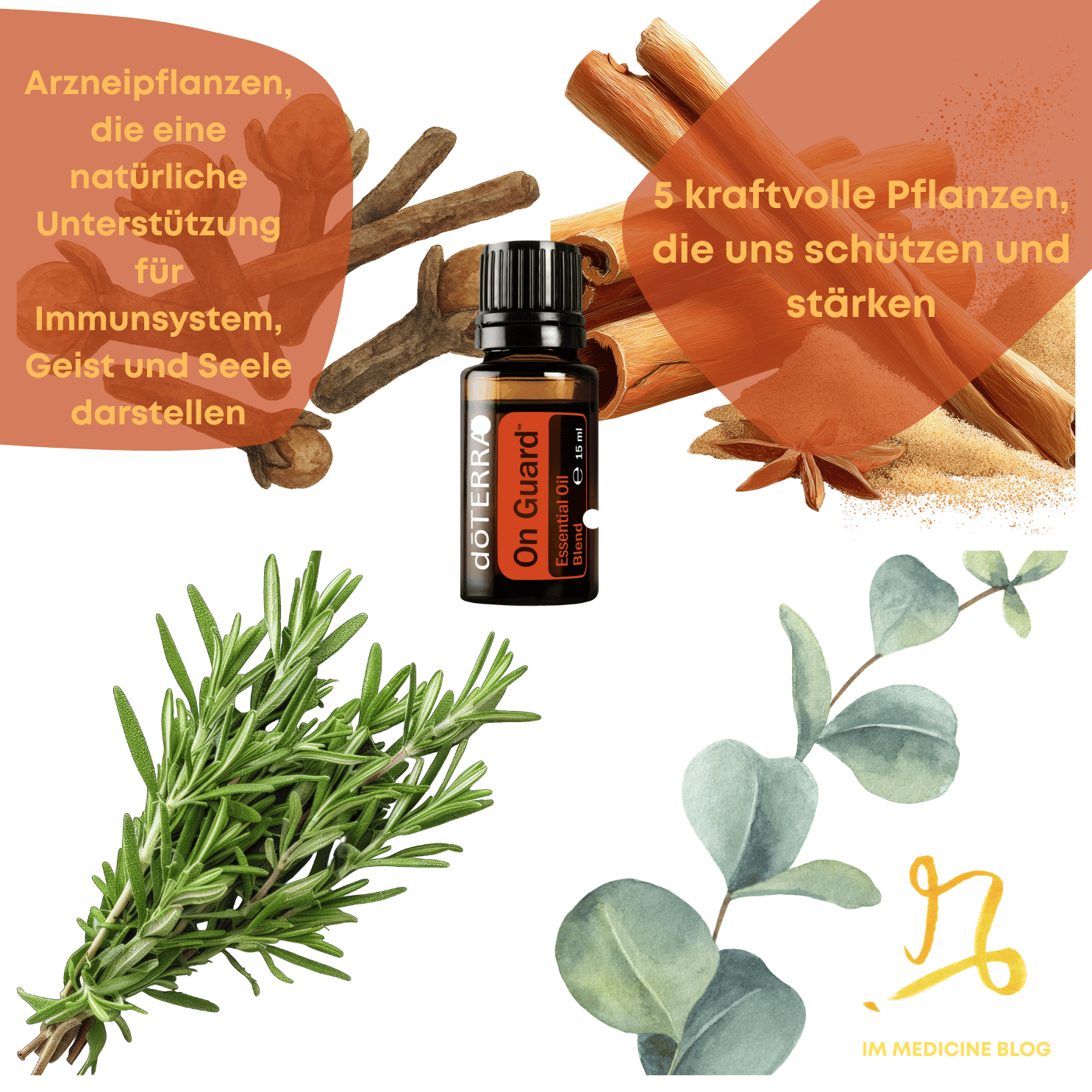 IM Medicine Podcast Cover