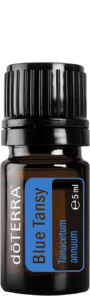 Blue tansy