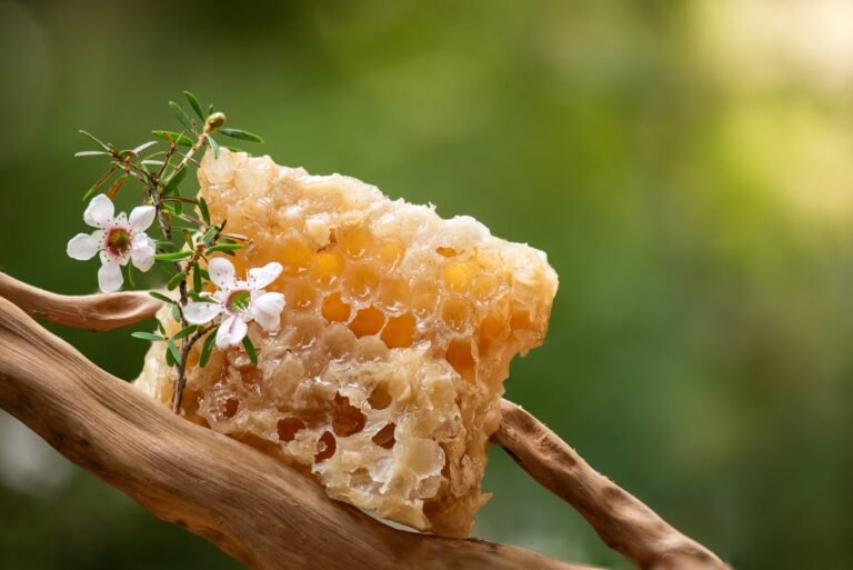 https://www.shutterstock.com/de/g/wasanaphotos