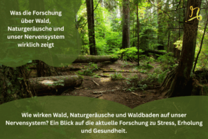 Forschung über Wald, Naturgeräusche und unser Nervensystem