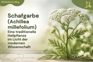 Schafgarbe (Achillea millefolium) – Eine traditionelle Heilpflanze im Licht der modernen Wissenschaft
