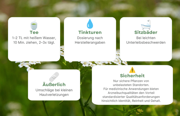 Schafgarbe Anwendungen